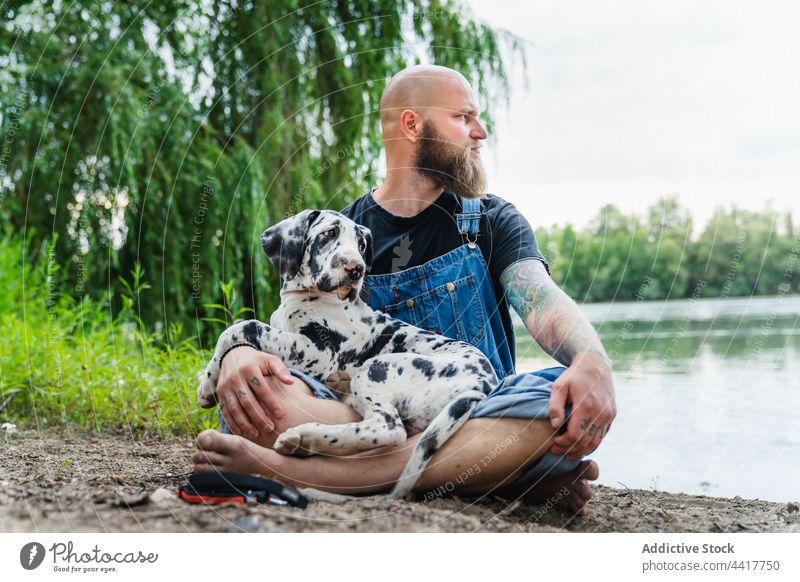 Serious bearded man with dog on lakeshore puppy nature friend obedient owner coast countryside summer water great dane canine male pet animal calm companion