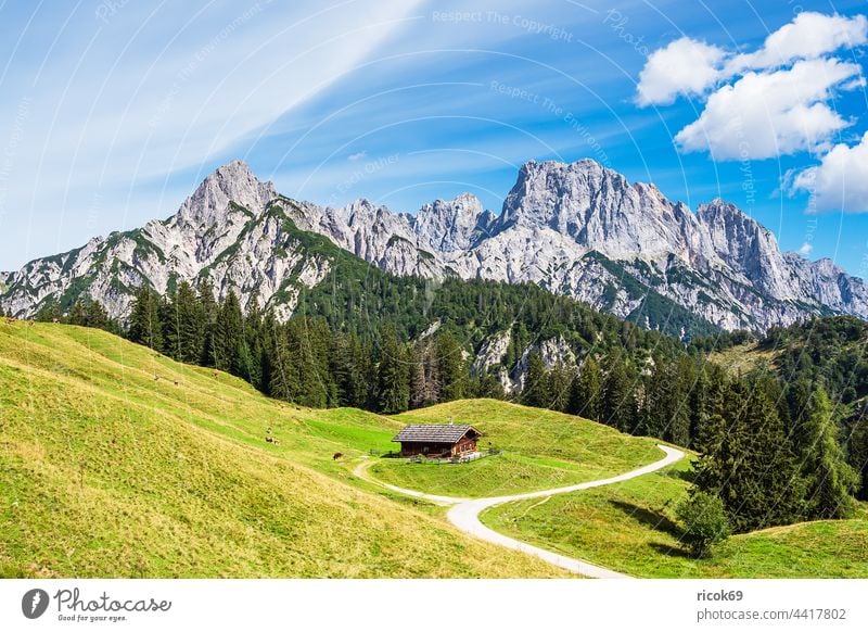 View of the Litzlalm with hut in Austria alpine hut Alps mountain Tree Forest savage emperor Landscape Nature Summer Alpine pasture Meadow Grass Agriculture
