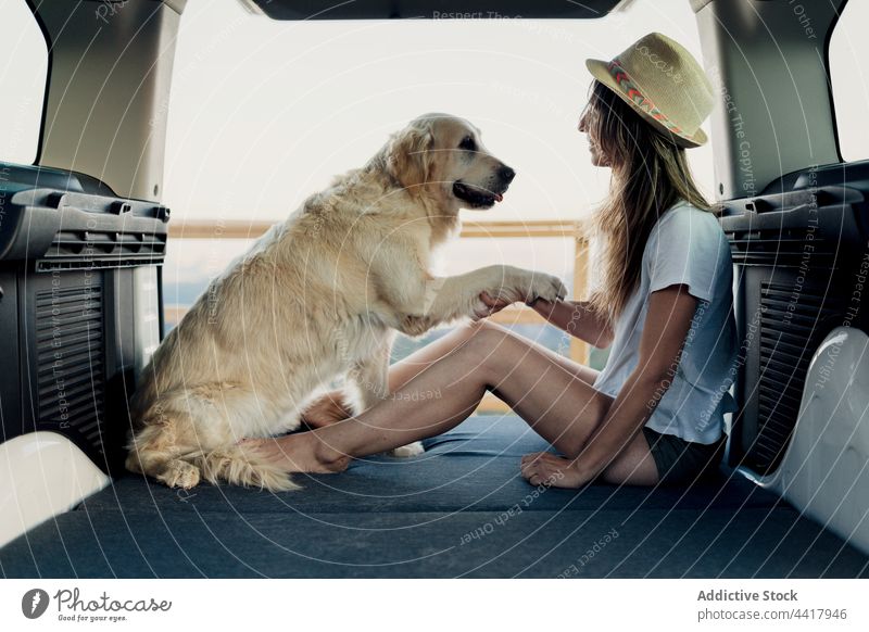 Female owner holding paw of dog in camper woman road trip bed together travel nature female golden retriever loyal obedient training trick command animal pet
