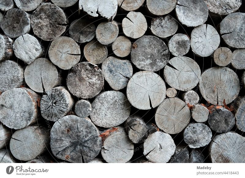 Stacked dry grey wood for the fireplace in winter in front of an old barn on a farm in Rudersau near Rottenbuch in the district of Weilheim-Schongau in Upper Bavaria