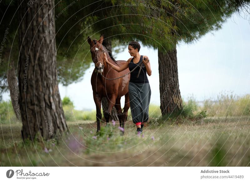Happy woman walking with horse in nature together stroke countryside love equine animal female happy ethnic bridle purebred brown companion stallion caress