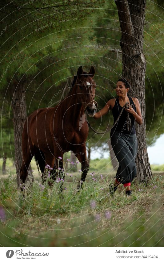 Happy woman walking with horse in nature together stroke countryside love equine animal female happy ethnic bridle purebred brown companion stallion caress
