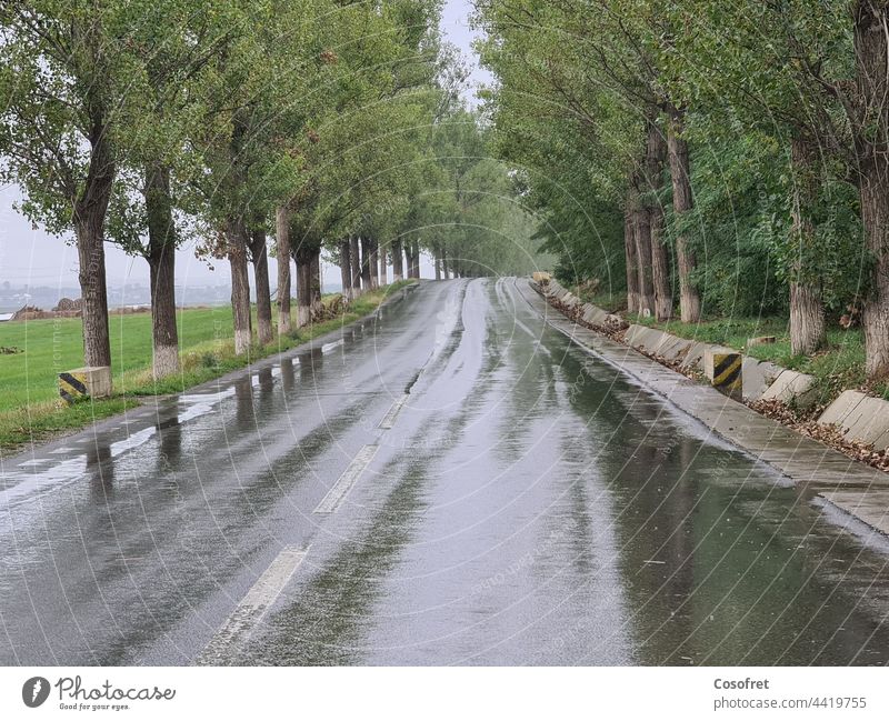 The first rainy day of September Rain Cloud Road Clouds Nature Storm clouds Bad weather Weather