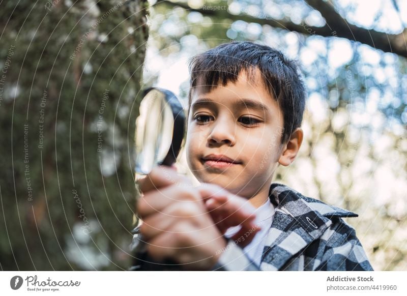 Curious ethnic boy exploring tree trunk with magnifier in woods explore magnifying glass investigate examine science curious look through search study find