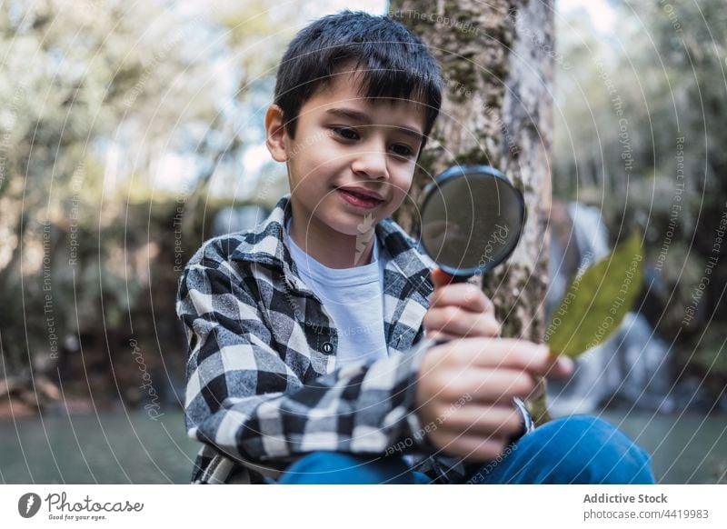 Boy with leaf looking through loupe in forest boy magnifying glass explore investigate find research science zoom childhood examine woods look through magnifier