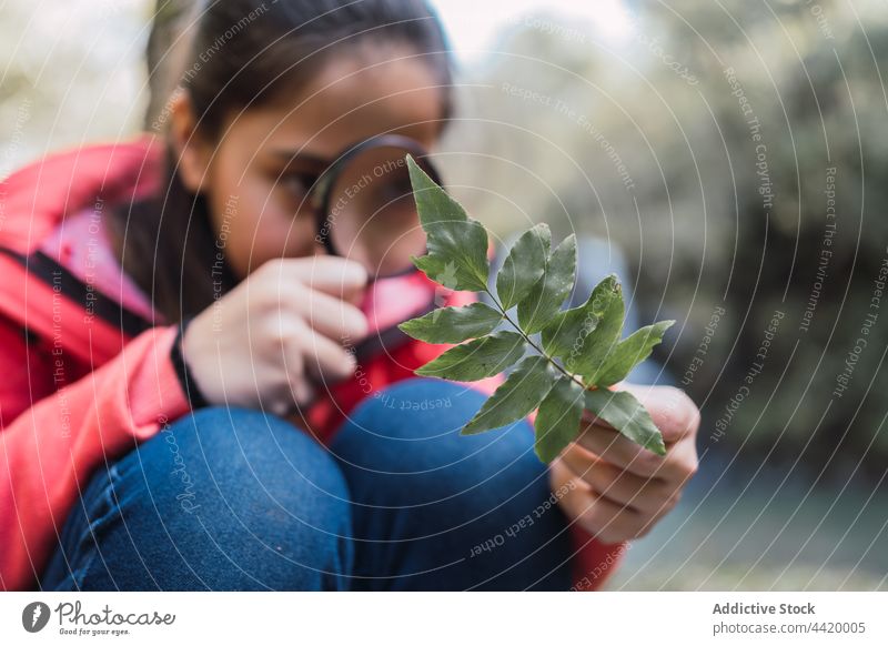 Girl with leaf looking through loupe in forest girl magnifying glass explore investigate find research science zoom childhood examine woods look through