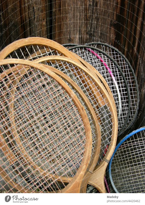 Stringing of rackets for badminton or badminton in summer in front of the brown wood of a shed in the garden of a farm in Rudersau near Rottenbuch in the district Weilheim-Schongau in Upper Bavaria