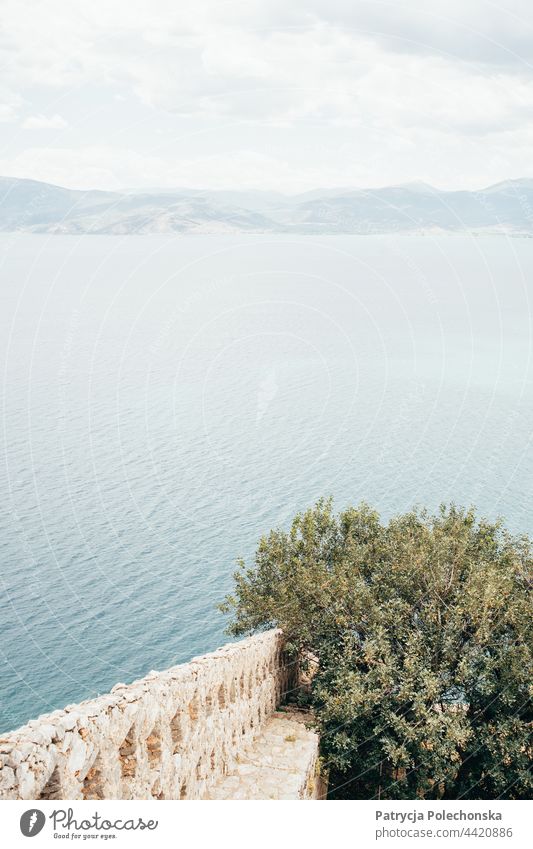 A wall with a bush growing over it, with the Mediterranean sea in the background Greece Landscape seascape Wall (building) Tree