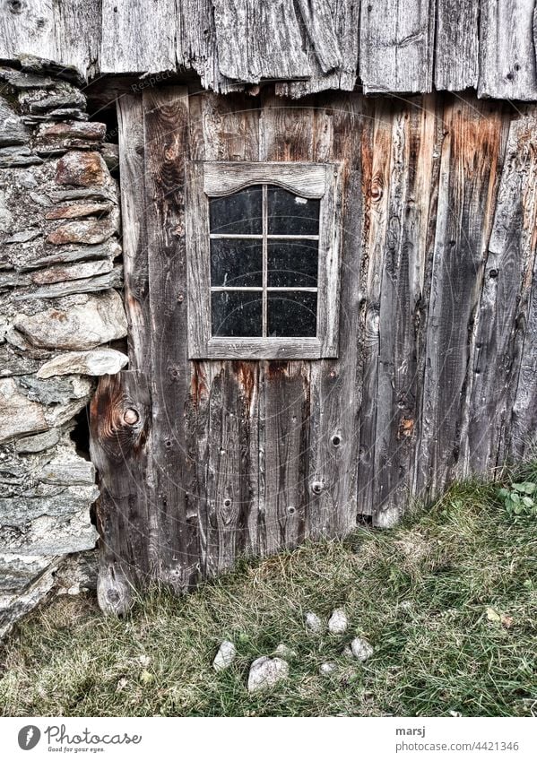 Hut wall with window Window Wooden wall Facade Wall (building) Old Idyll Loneliness Cliche Brown Uniqueness Wooden hut Patina Texture of wood Stone wall Rustic