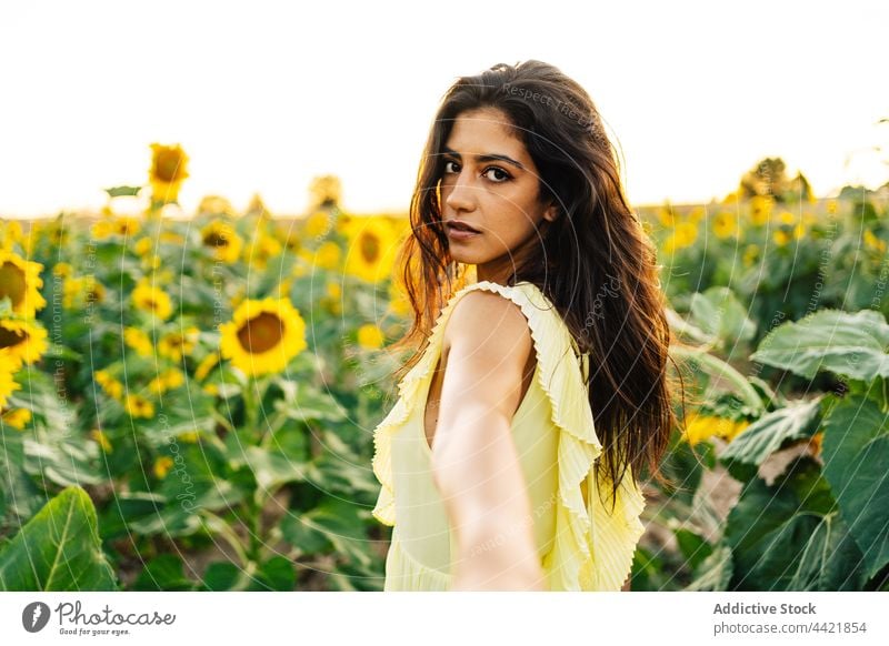 Young woman in sunflower field follow me yellow summer dress nature invite female young hispanic ethnic romantic countryside bloom fresh harmony natural