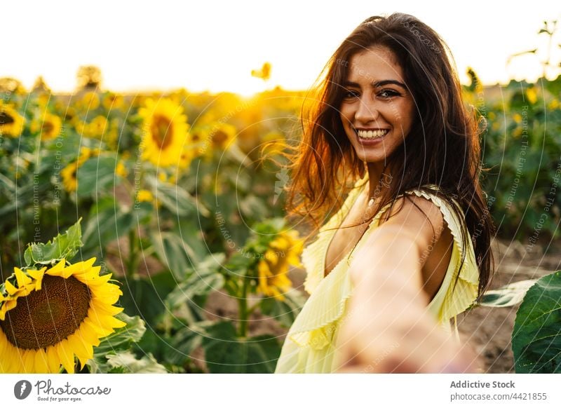 Happy young woman in sunflower field follow me yellow summer dress nature invite female hispanic ethnic romantic countryside bloom fresh harmony natural