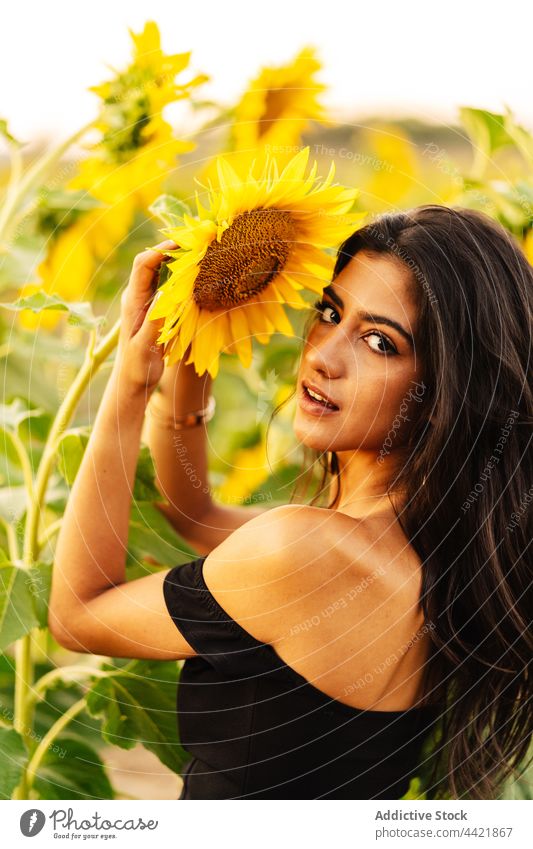 Young woman with sunflower in summer nature yellow style countryside grace bloom blossom bare shoulders field female young hispanic romantic environment