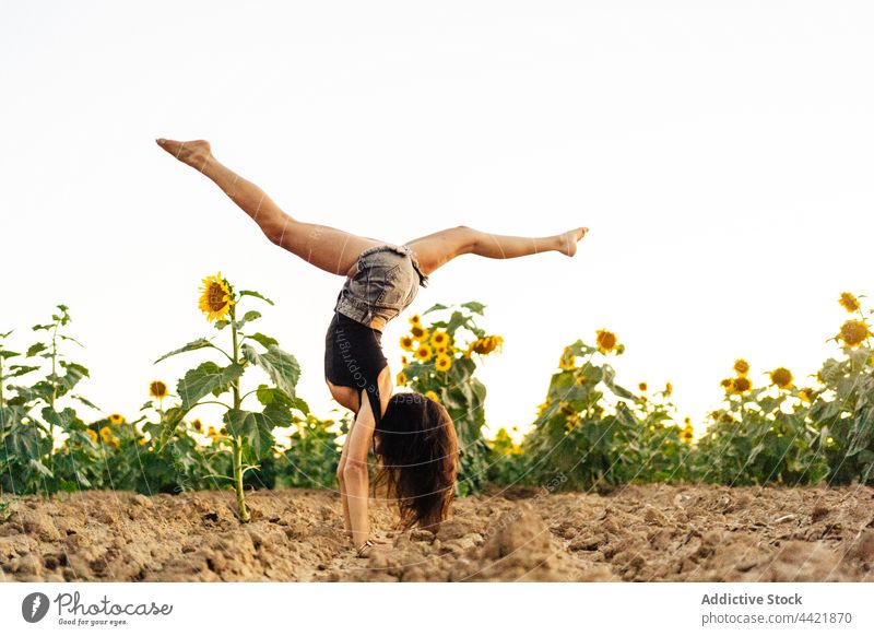 Woman doing handstand in nature woman sunflower field summer trick acrobatic countryside balance female barefoot active split bloom flora recreation practice