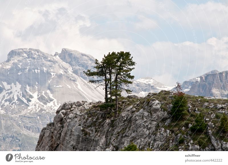 Group cuddling on the rock Environment Nature Landscape Clouds Climate Beautiful weather Plant Tree Hill Rock Alps Mountain Peak Snowcapped peak Glacier