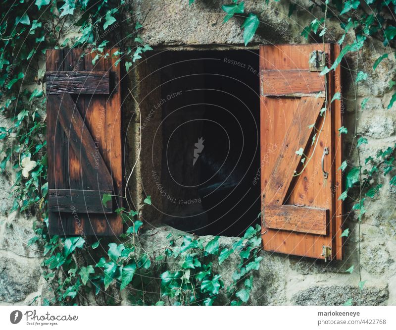Wooden windows of an old mill surrounded by leaves ancient antique architecture brown building close up color image colorful construction worker copy space
