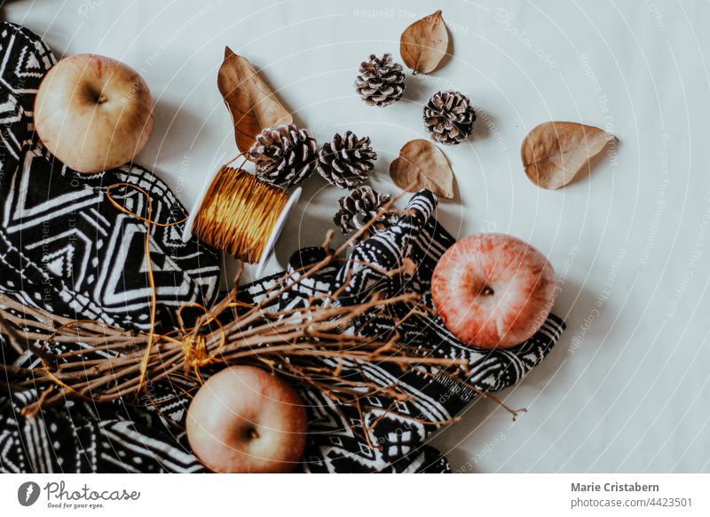 Apples, acorns and dried leaf arranged on a white background showing the concept of Autumn Season and Harvest autumn season fall season autumn harvest october
