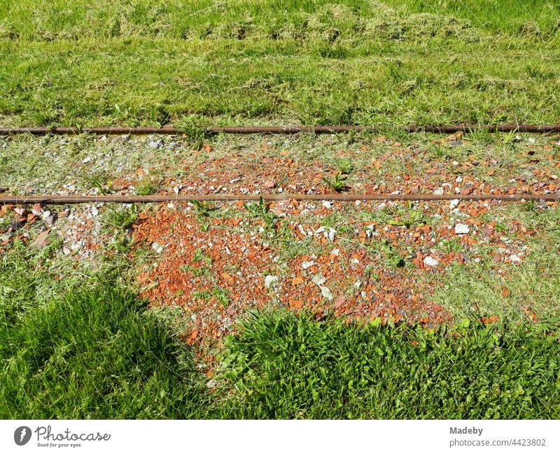Rusty tracks of an old narrow gauge railway through the green grass in summer sunshine at the Old Brickworks in Lage near Detmold in East Westphalia-Lippe rails