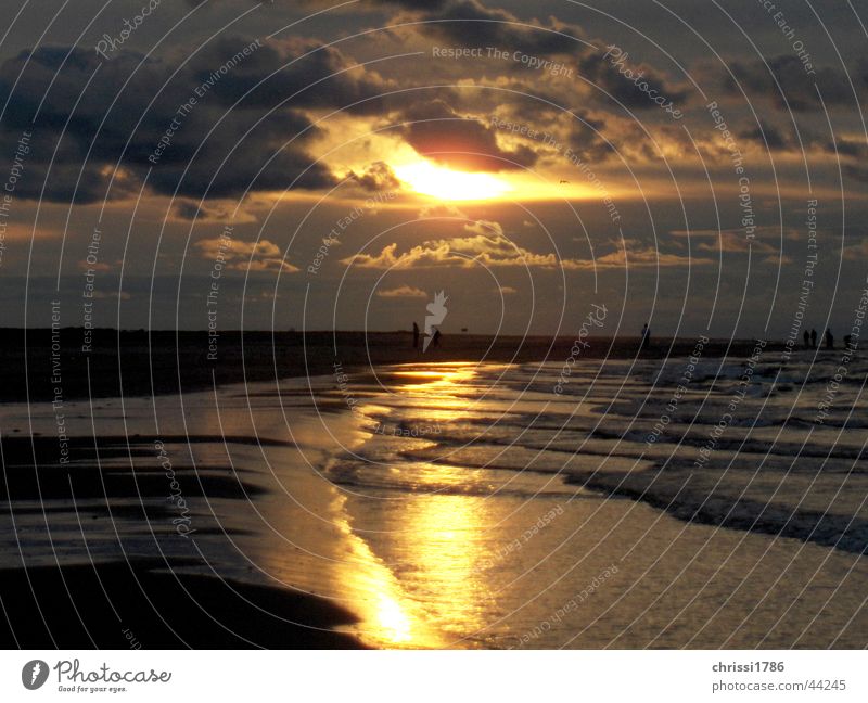 Skagen Beautiful Sunset Low tide Nordseekap Ostseekap Europe High tide