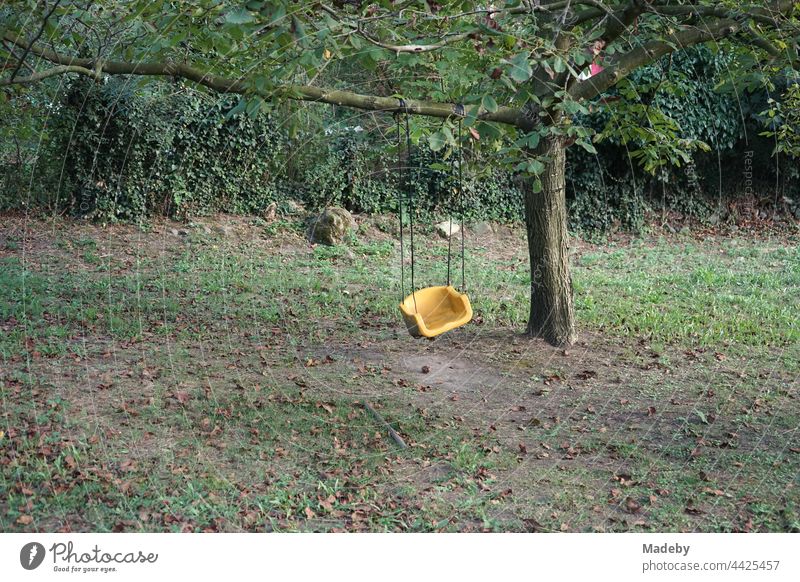 Slate yellow seat of a swing on the long branch of a tree in a garden in Dogancay near Adapazari in the province of Sakarya in Turkey Swing child's swing