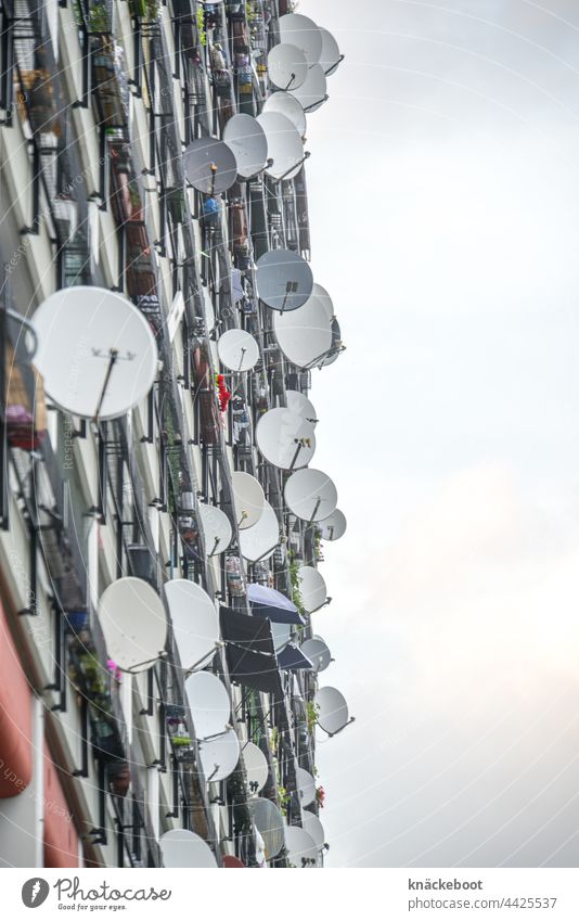 satellite dish 2 Satellite dish Antenna House (Residential Structure) Television Facade Building Technology Colour photo Receive TV set Day Communicate