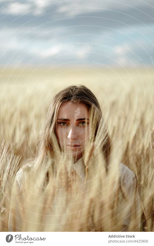 Millennial woman among wheat spikes in field nature agriculture vegetate farmland unemotional gaze portrait countryside meadow grow cereal grain cloudy sky