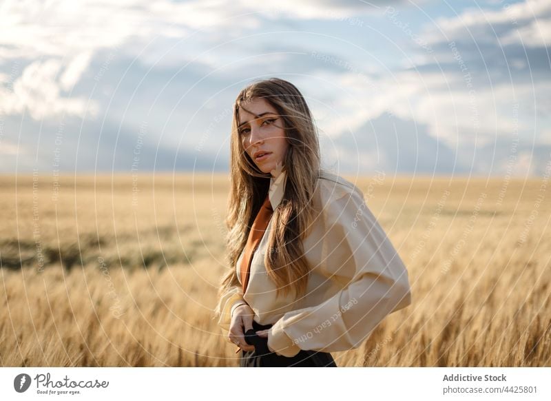 Stylish thoughtful model in wheat field under cloudy sky mindfulness style nature spike woman countryside tie dreamy concentrate atmosphere air vegetate grow