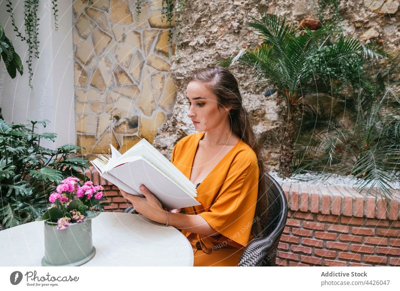 Woman reading book in patio woman terrace summer story chill serene literature female calm sit peaceful enjoy harmony tranquil hobby table novel knowledge