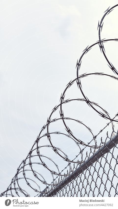 Razor barbed wire fence against the sky, selective focus. razor prison crime jail concept confinement imprisonment incarceration protection security border