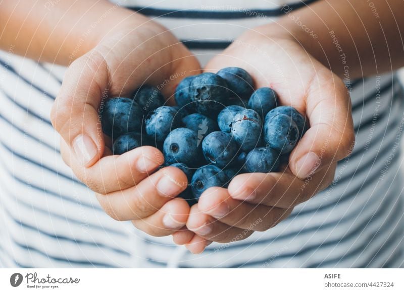 Handful of blueberries in little girl hands blueberry child holding handful ripe raw fruit healthy snack dessert delicious stripes tasty food summer close up