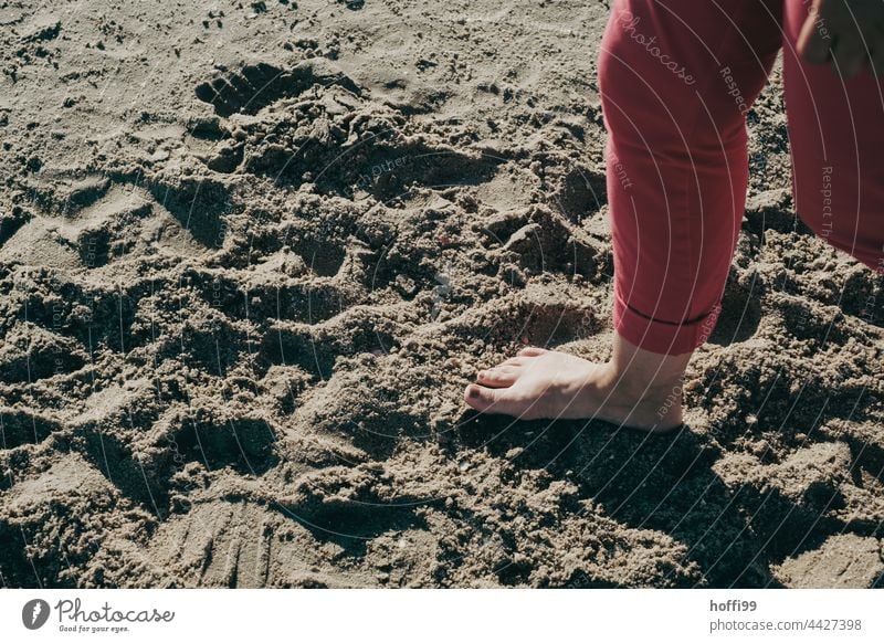 Barefoot on the North Sea beach feet Summer Ocean Feet Legs leg Toes Skin refreshingly cooling Refreshment Relaxation Human being Woman Island coast Beach