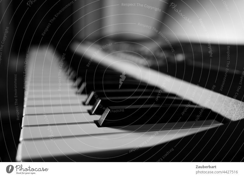 Keyboard keys sideways in black and white in perspective with blur fumble Perspective black-white blurriness Music Musical instrument keyboard instrument Detail