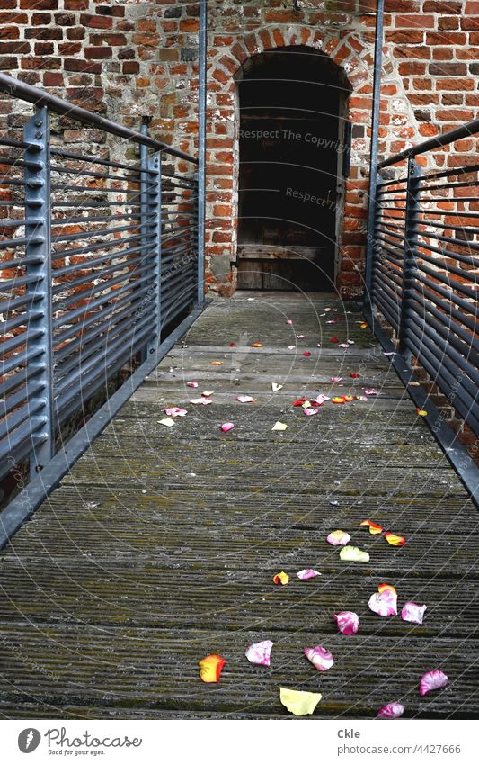 Flowery way to closed door blossoms masonry Tower Corridor Wedding celebration Remains Memory Medieval times Wall (barrier) Wall (building) Old
