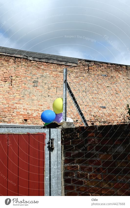 Gate and fence and wall with balloons Goal Wall (barrier) Fence masonry Metal Safety completed Closed Protection Structures and shapes Grating Barrier Backyard