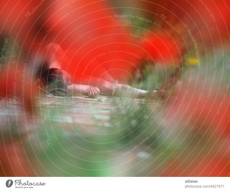 sexy young brunette woman lies dead after accident or crime on path in garden surrounded by many blurred poppies, copy space lying view beauty problems conflict