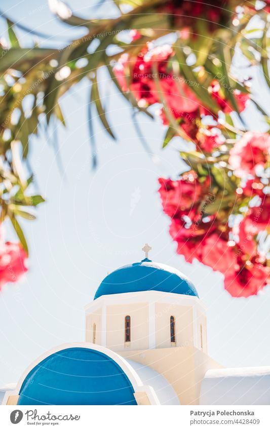 Blue and white church and pink flowers on the island Santorini in Greece White Church Architecture religion Summer