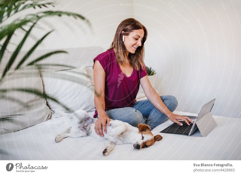 smiling caucasian woman at home working on laptop and mobile phone while cute jack russell dog resting on bed during daytime. Home office, Pets, love and relax
