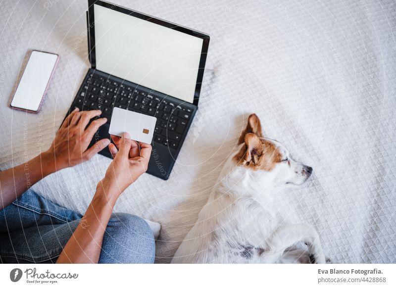 top view of unrecognizable woman doing online shopping with credit card and laptop. Cute small jack russell dog sleeping on bed.Technology and business concept