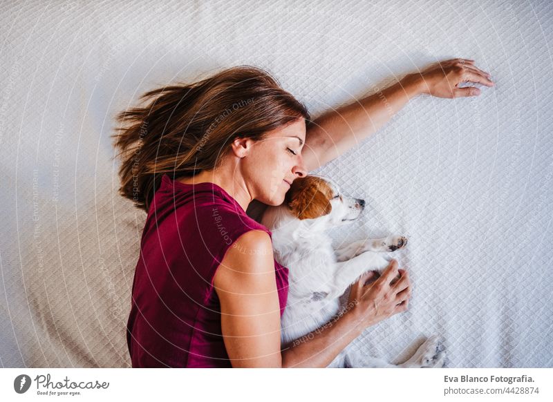 top view of young caucasian woman at home resting on bed with cute jack russell dog. Pets, love and relax sleep kiss together togetherness 30s tired house