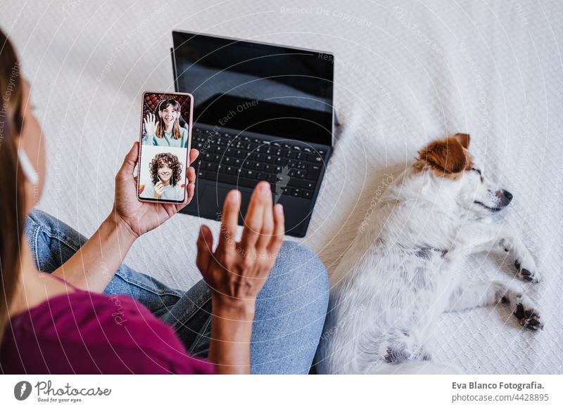 unrecognizable woman at home doing video call with friends on mobile phone while cute jack russell dog resting on bed. Home office, Pets, love and relax laptop