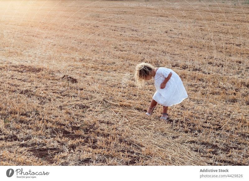 Little blonde girl alone in a field on a sunny day child childhood happy summer kid nature fun people young joy meadow cheerful person outdoor happiness