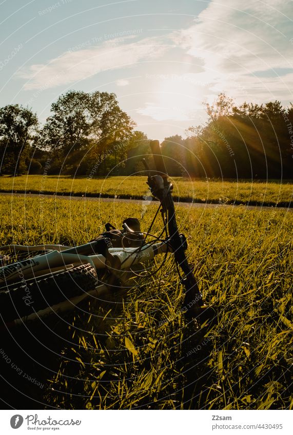 Mountain bike lying on the meadow at sunset voyage Wheel Bicycle Sports Relaxation Movement free time Sunset Summer Light Sunbeam Green Nature Landscape Sky