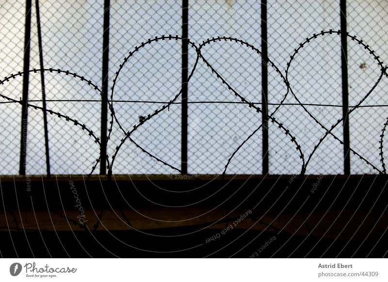 jail Barbed wire Grating Wire netting Fence Captured Dark Penitentiary