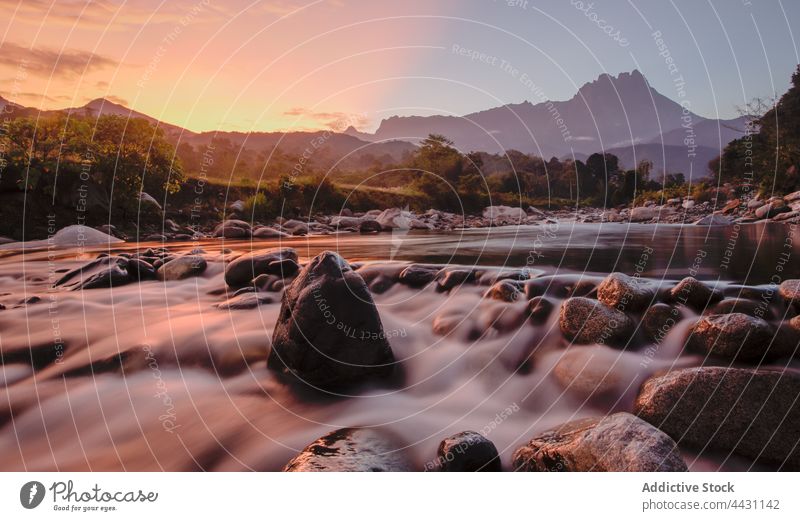 River stream flowing on stones in highland river boulder rock rapid sunset nature landscape motion environment fast scenery picturesque sundown plant valley