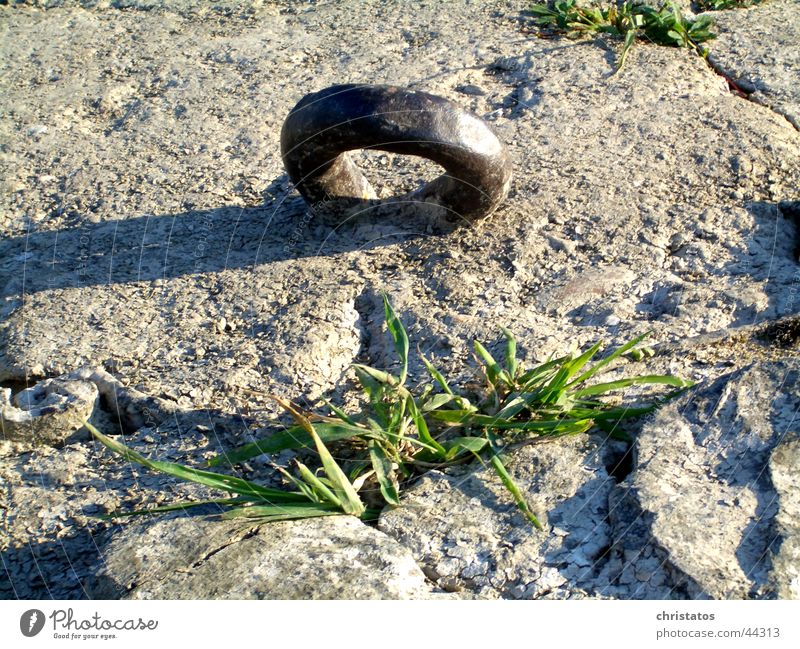 Steel ring with green Iron Metal ring Grass Green Concrete Precarious Circle Stone Nature