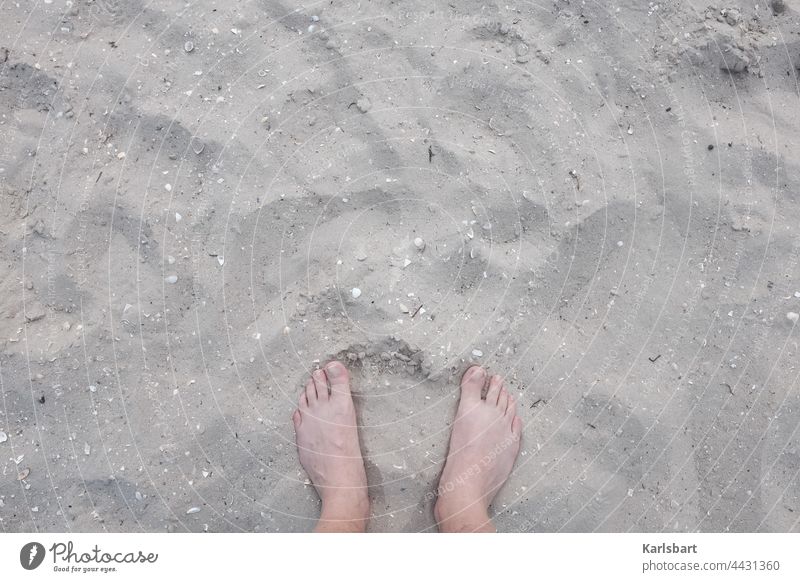 Stretching feet in the sand Feet up Beach Summer Barefoot Relaxation Toes Vacation & Travel coast Sand Summer vacation Sandy beach Sun Colour photo