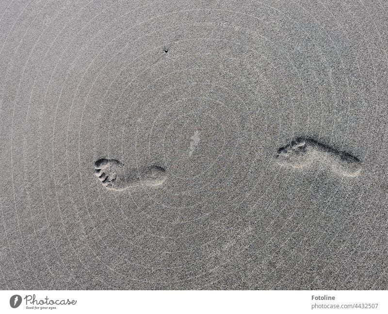 Traces in the sand on the beach footprint Footprint footprints Tracks Exterior shot Day Deserted Gray beach sand daylight Detail detail detailed