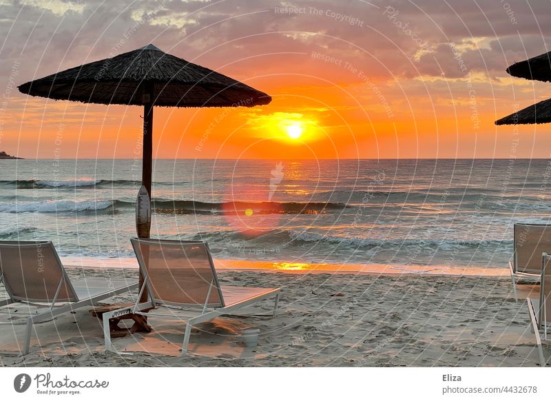 Deck chairs with umbrellas on the empty beach at sunrise deckchairs Beach Summer vacation Sunrise Ocean Vacation mood Empty Sandy beach in the morning Deserted