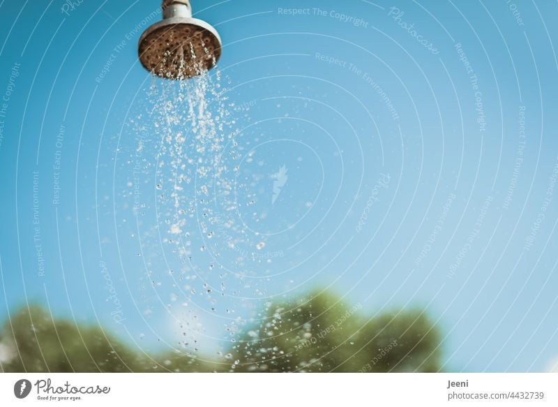 small cooling Summer shower Shower outside shower garden shower Water Drops of water Wet Jet of water Shower head Nature Blue Sky Sky blue Tree Lake