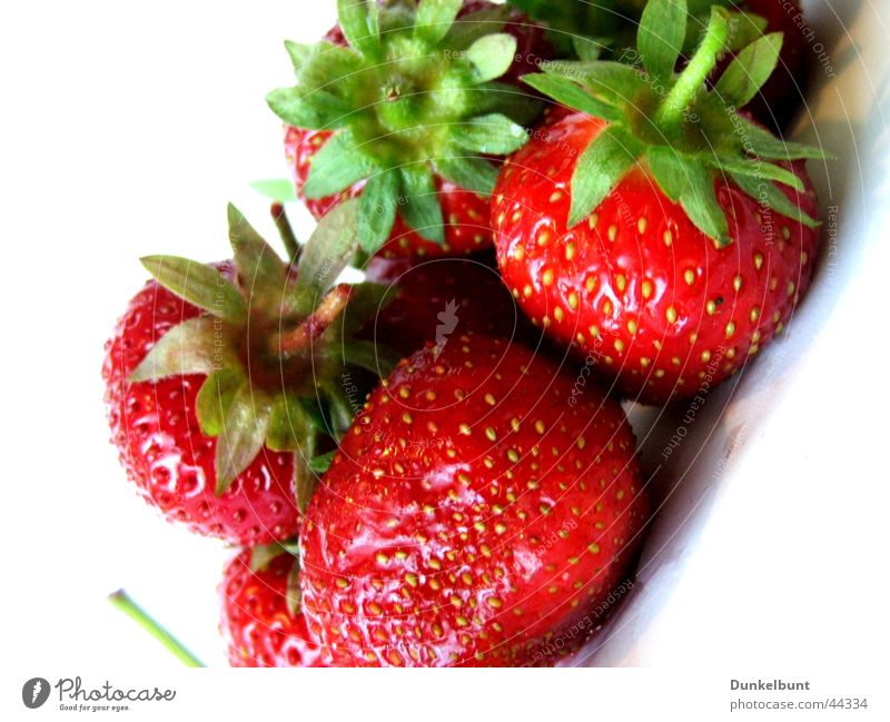 Strawberry Dream Summer Nutrition Sun Strawberries ^^