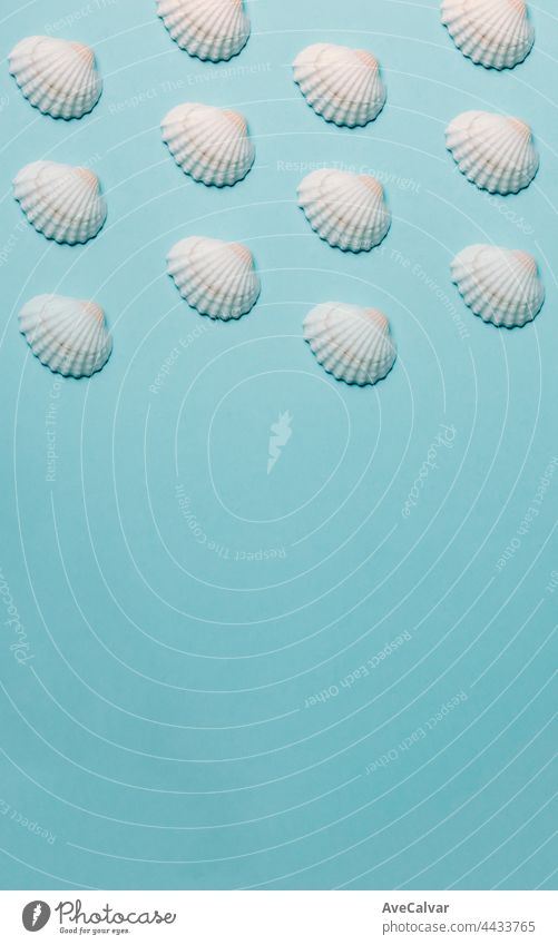Pattern of shells over a pastel blue background, minimalism, design and digital resource, background with copy space abstract chair sun journey art fun parasol